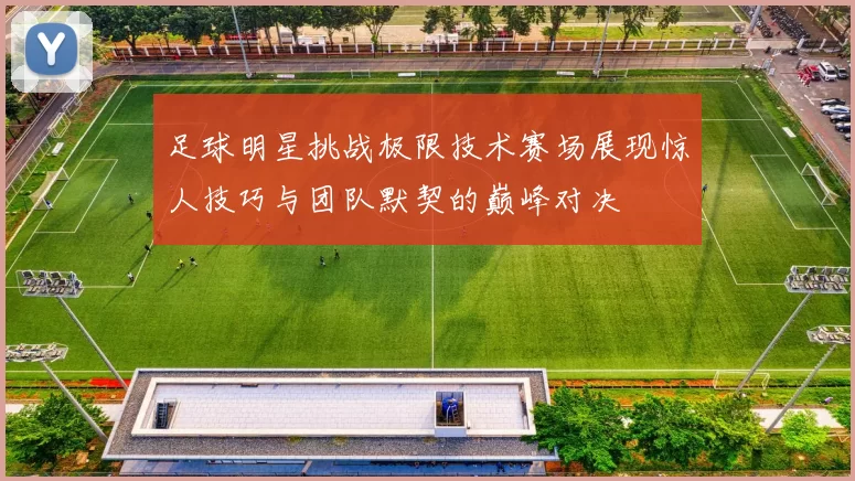 足球明星挑战极限技术赛场展现惊人技巧与团队默契的巅峰对决