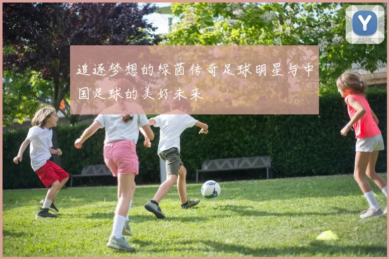 追逐梦想的绿茵传奇足球明星与中国足球的美好未来