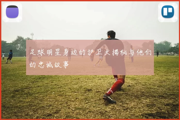 足球明星身边的护卫犬揭秘与他们的忠诚故事