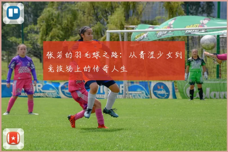 张芳的羽毛球之路：从青涩少女到竞技场上的传奇人生