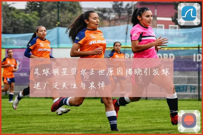 足球明星贝尔去世原因揭晓引发球迷广泛关注与哀悼