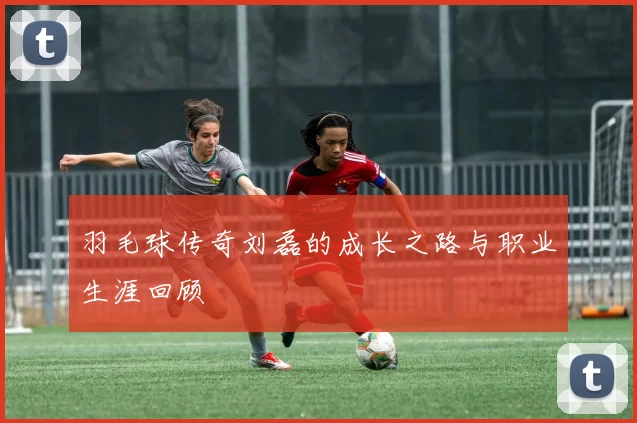 羽毛球传奇刘磊的成长之路与职业生涯回顾
