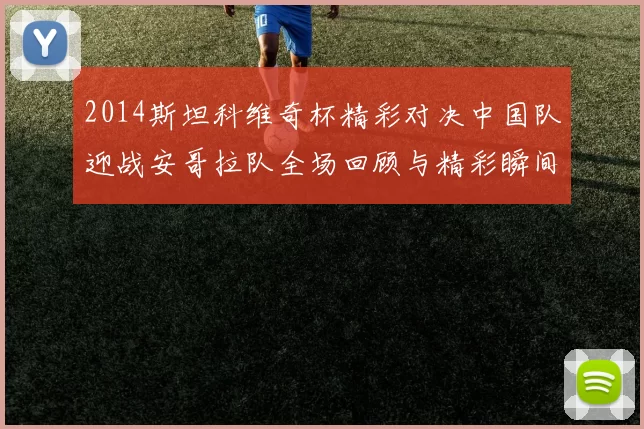 2014斯坦科维奇杯精彩对决中国队迎战安哥拉队全场回顾与精彩瞬间分析