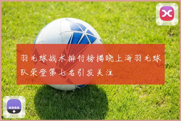 羽毛球战术排行榜揭晓上海羽毛球队荣登第七名引发关注