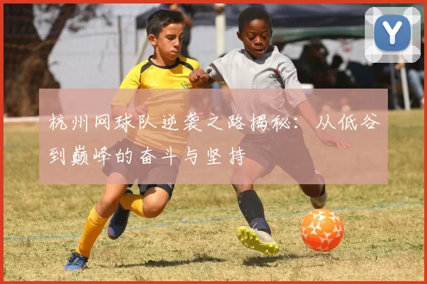 杭州网球队逆袭之路揭秘：从低谷到巅峰的奋斗与坚持