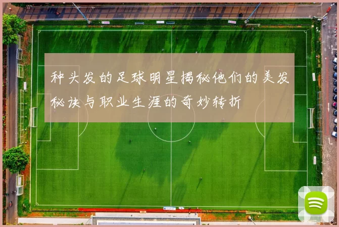 种头发的足球明星揭秘他们的美发秘诀与职业生涯的奇妙转折