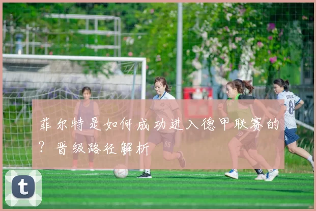 菲尔特是如何成功进入德甲联赛的？晋级路径解析