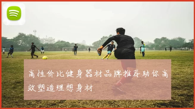 高性价比健身器材品牌推荐助你高效塑造理想身材