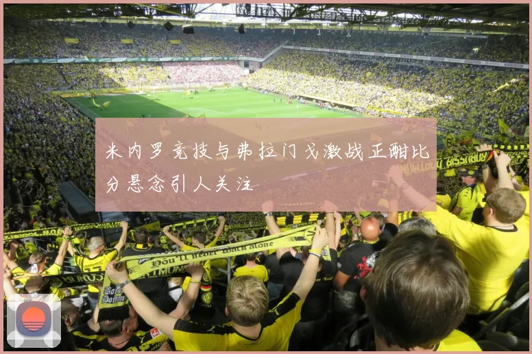 米内罗竞技与弗拉门戈激战正酣比分悬念引人关注