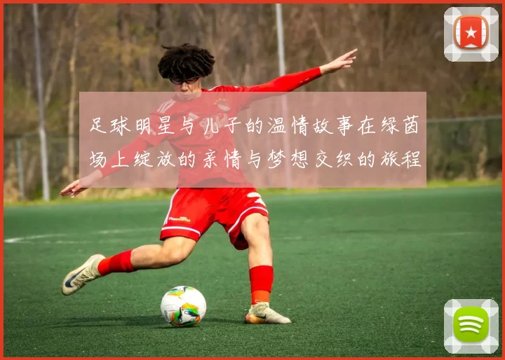 足球明星与儿子的温情故事在绿茵场上绽放的亲情与梦想交织的旅程