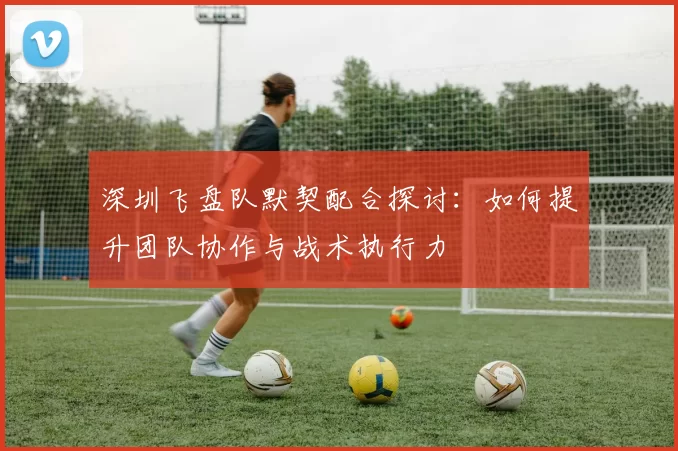 深圳飞盘队默契配合探讨：如何提升团队协作与战术执行力
