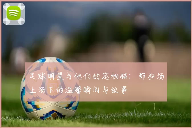 足球明星与他们的宠物猫：那些场上场下的温馨瞬间与故事