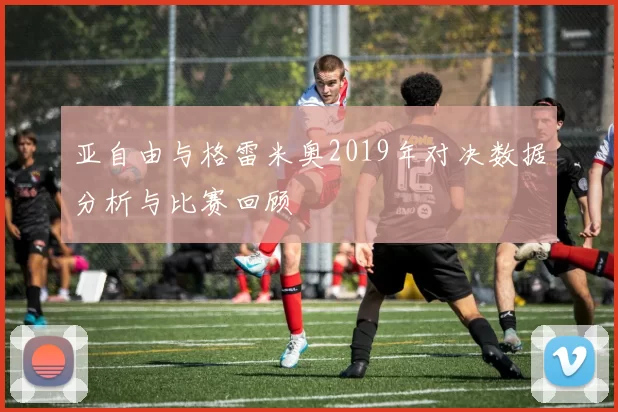 亚自由与格雷米奥2019年对决数据分析与比赛回顾