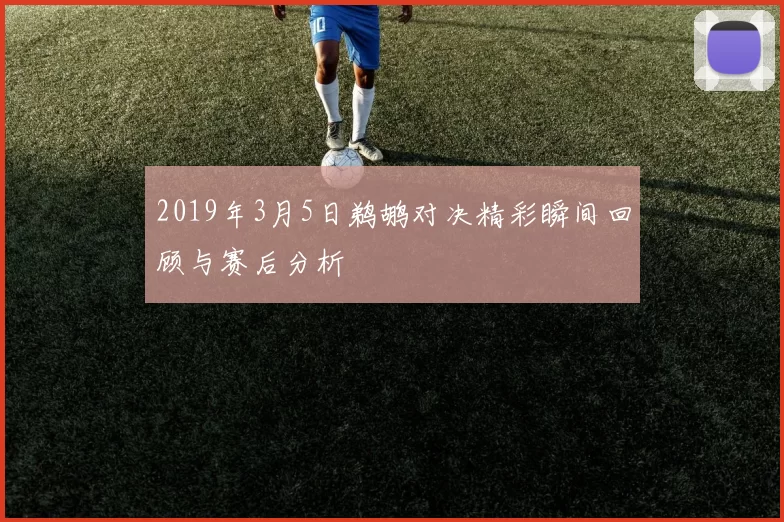 2019年3月5日鹈鹕对决精彩瞬间回顾与赛后分析
