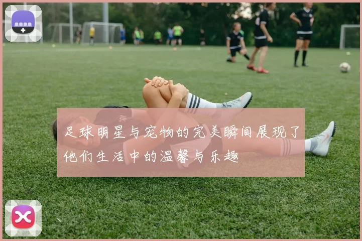 足球明星与宠物的完美瞬间展现了他们生活中的温馨与乐趣