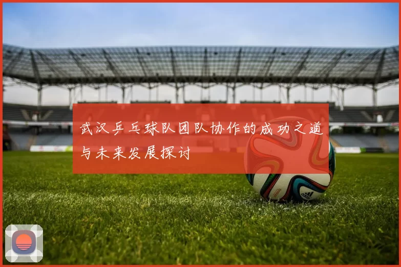 武汉乒乓球队团队协作的成功之道与未来发展探讨