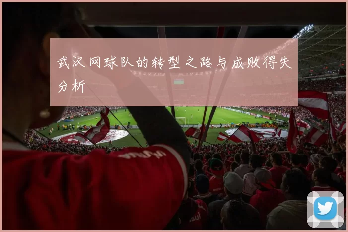武汉网球队的转型之路与成败得失分析