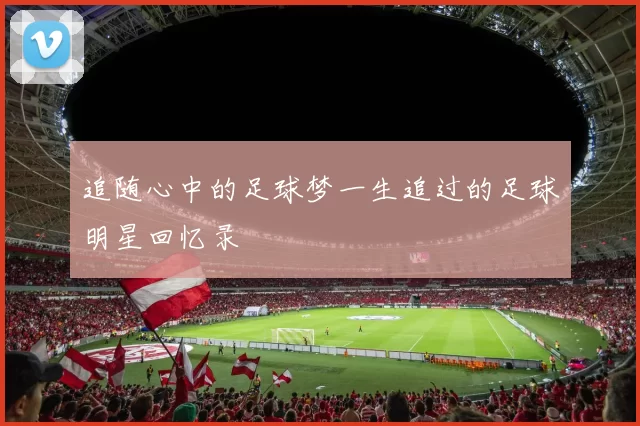 追随心中的足球梦一生追过的足球明星回忆录