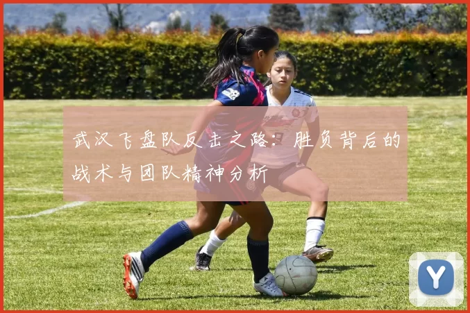 武汉飞盘队反击之路：胜负背后的战术与团队精神分析