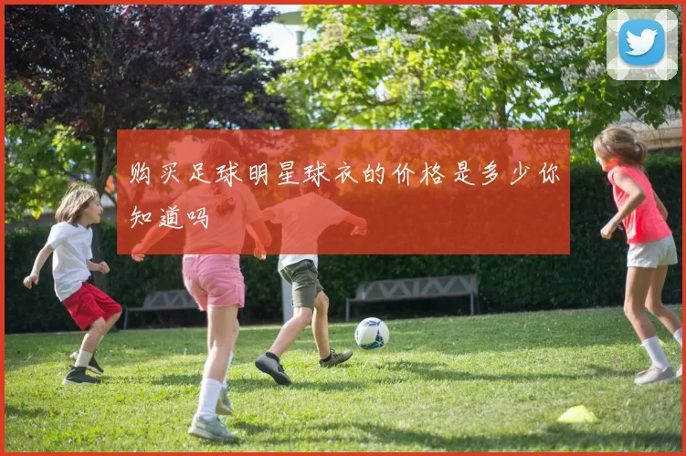 购买足球明星球衣的价格是多少你知道吗