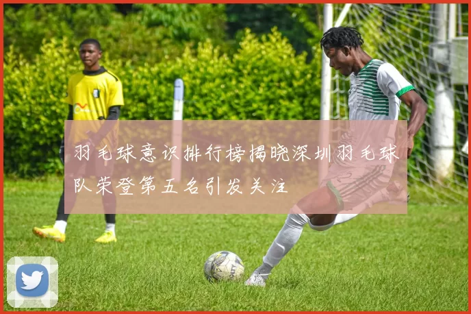 羽毛球意识排行榜揭晓深圳羽毛球队荣登第五名引发关注