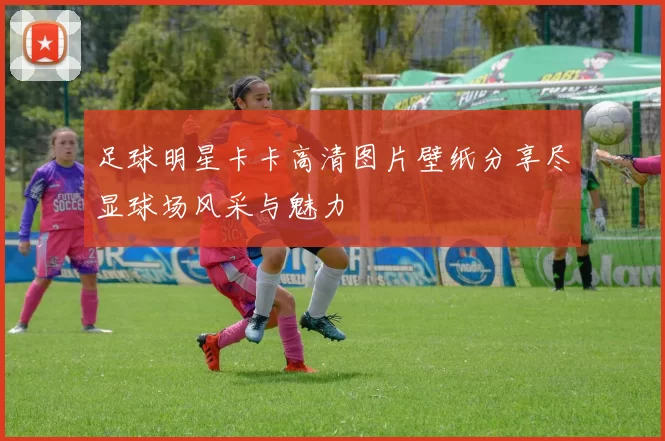 足球明星卡卡高清图片壁纸分享尽显球场风采与魅力