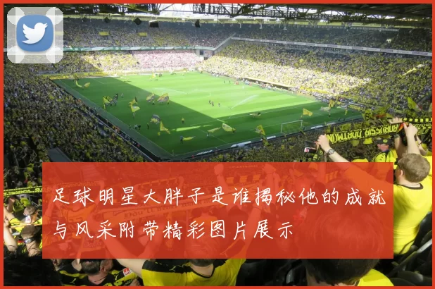 足球明星大胖子是谁揭秘他的成就与风采附带精彩图片展示