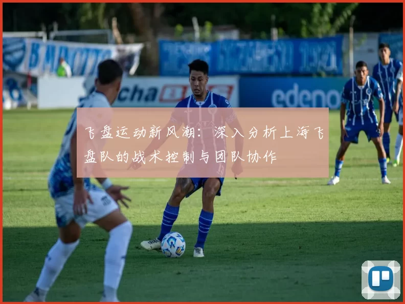 飞盘运动新风潮：深入分析上海飞盘队的战术控制与团队协作
