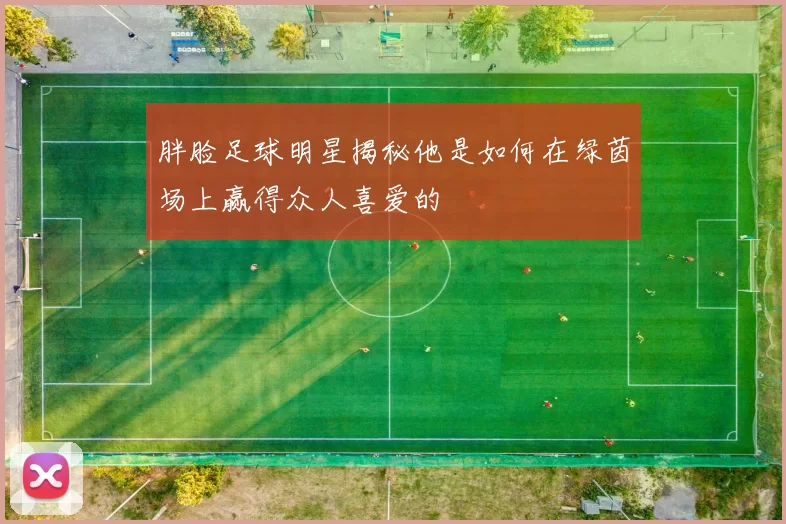 胖脸足球明星揭秘他是如何在绿茵场上赢得众人喜爱的