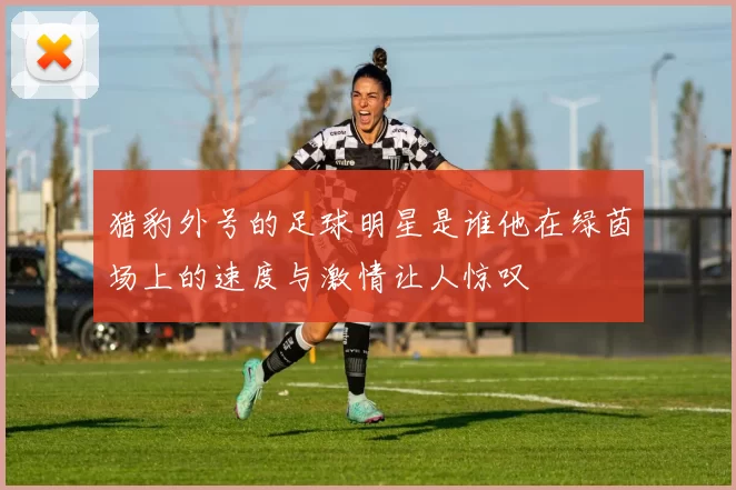 猎豹外号的足球明星是谁他在绿茵场上的速度与激情让人惊叹