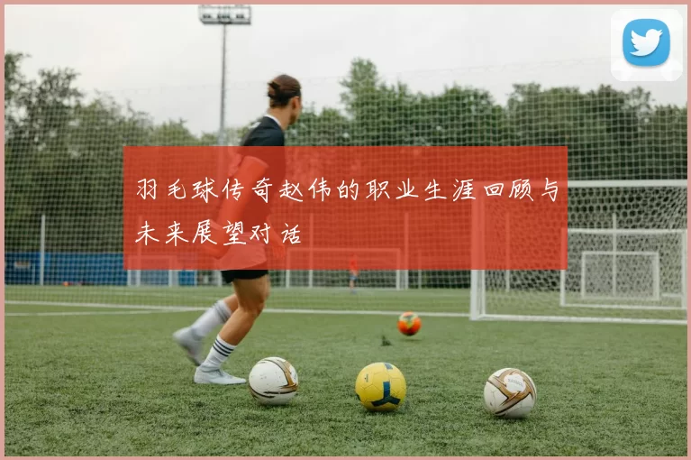 羽毛球传奇赵伟的职业生涯回顾与未来展望对话