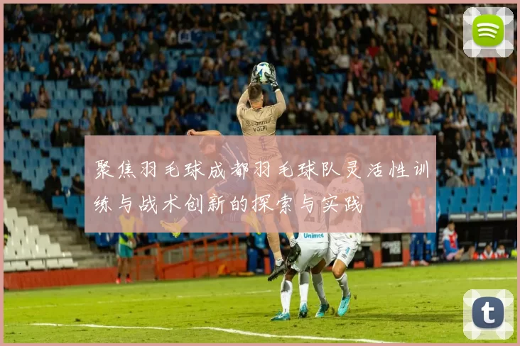 聚焦羽毛球成都羽毛球队灵活性训练与战术创新的探索与实践