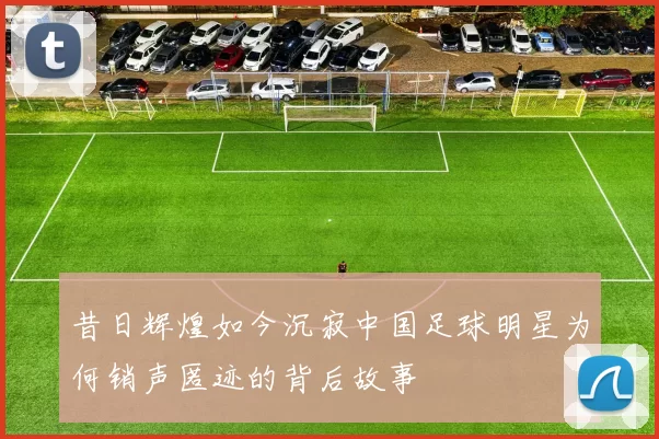 昔日辉煌如今沉寂中国足球明星为何销声匿迹的背后故事