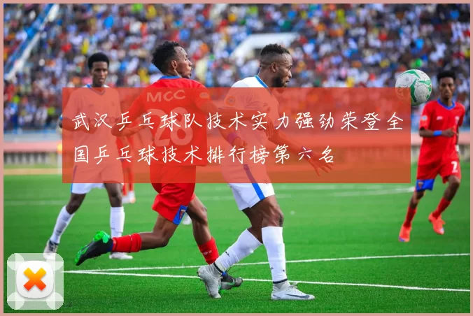 武汉乒乓球队技术实力强劲荣登全国乒乓球技术排行榜第六名