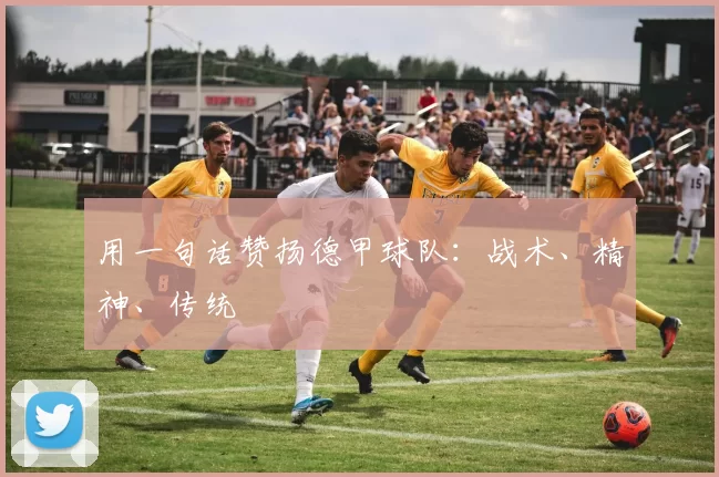 用一句话赞扬德甲球队：战术、精神、传统