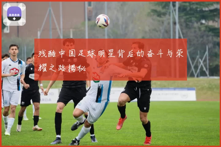 残酷中国足球明星背后的奋斗与荣耀之路揭秘