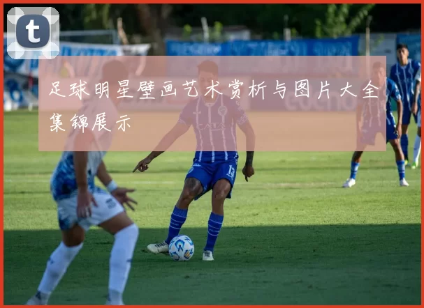 足球明星壁画艺术赏析与图片大全集锦展示