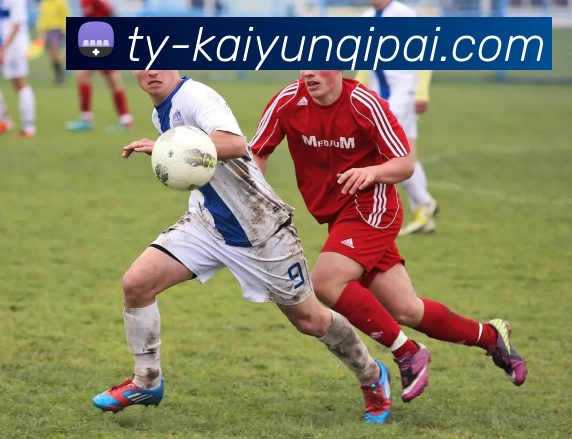 开云入口APP 体育赛事宣传图